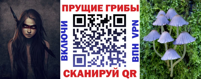 Галлюциногенные грибы мицелий  Черепаново 