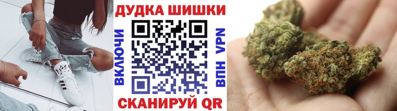 Каннабис планчик Черепаново